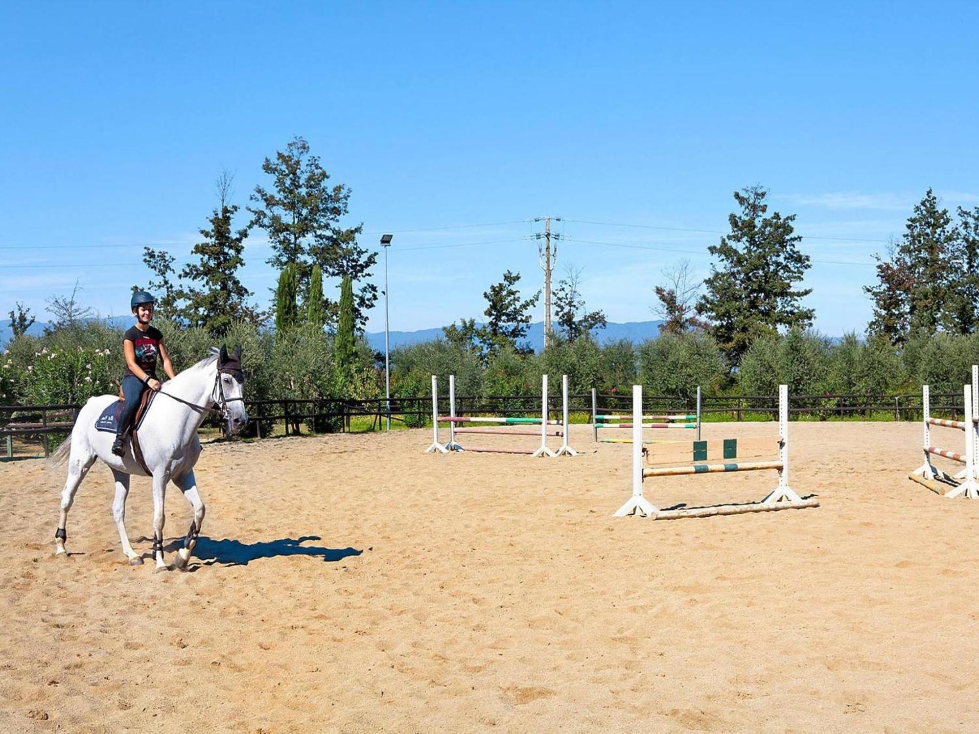 Hesse Farm Holiday Borgo Pinete Le Vedute المظهر الخارجي الصورة